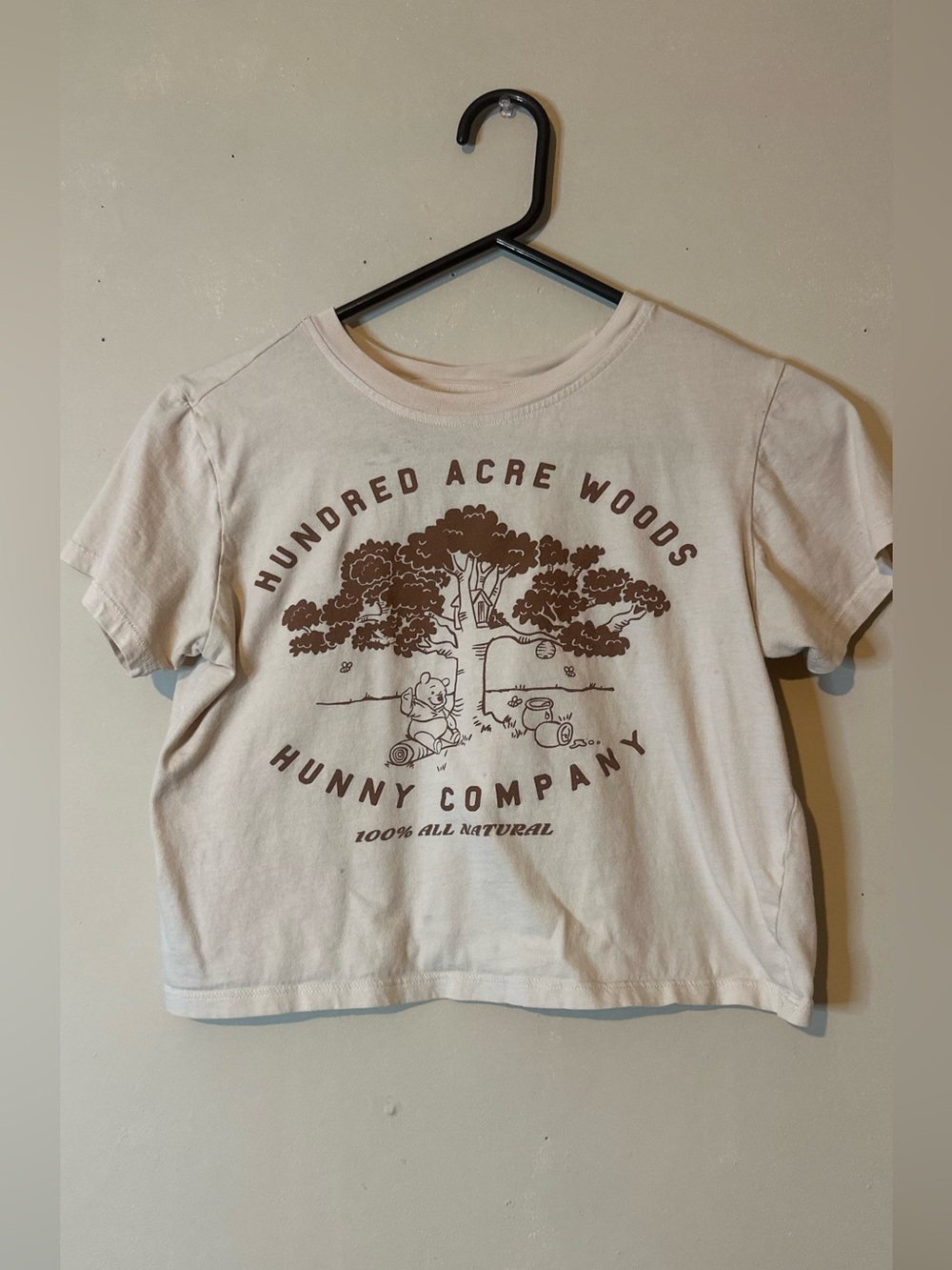 Modern Lux hundred acre woods Cream Tee Winnie the Pooh 🆓